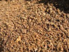Cottonseed Meal