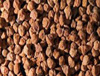 Desi Chana