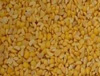 Full Fatted Soyabean Grit