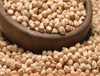 Kabuli Chick Peas