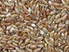 Organic Flax Seeds