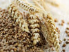 Organic Grains