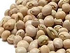 Pigeon Peas